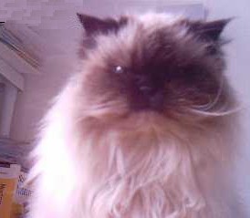 Picture 05-01-23@16`04`00.jpg (13187 bytes)